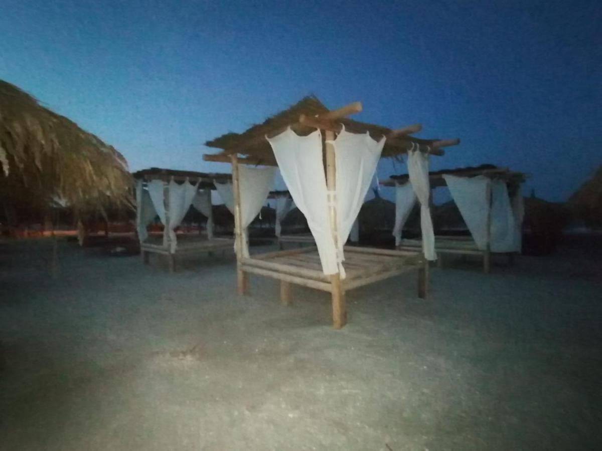 דירות Năvodari Garsoniera Papaya Beach מראה חיצוני תמונה